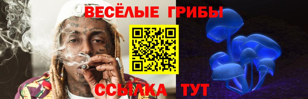 Галлюциногенные грибы Magic Shrooms  Гусиноозёрск 